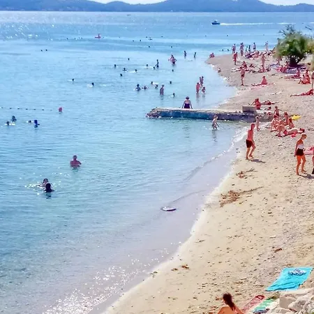 Nicol Zadar